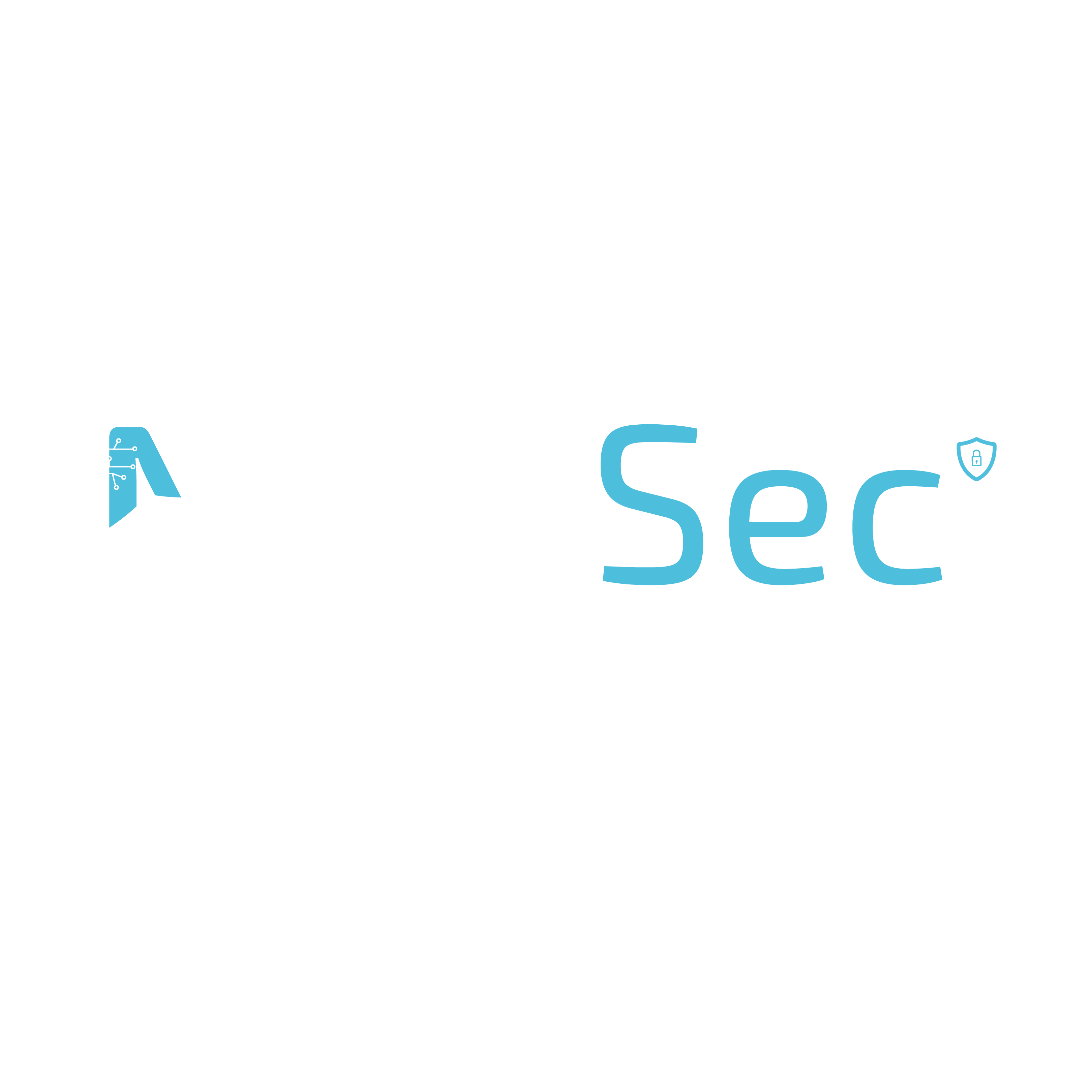 NextSec Logo